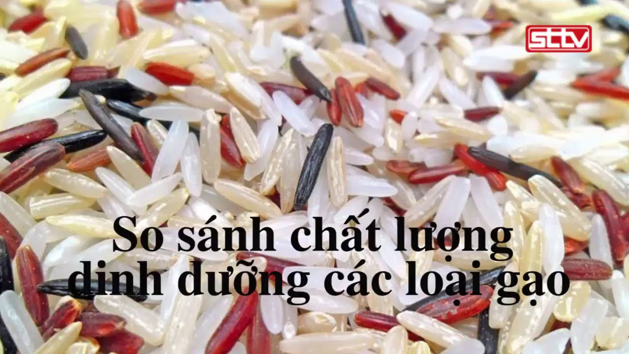Gạo Lứt Các Loại - Khám Phá Giải Pháp Dinh Dưỡng Tốt Nhất Cho Sức Khỏe