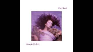 Hounds Of Love 1985 Album