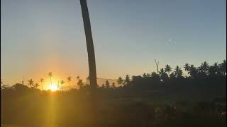 Road Trip American Samoa #americansamoa