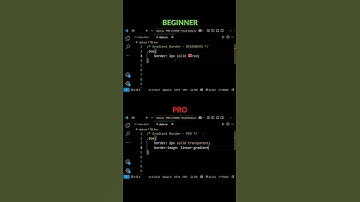Noob vs Pro | Junior Vs Senior | Developer #webdevelopment #webdesign #html #css #coding #javascript
