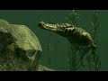 Path of Titans - Sarcosuchus - The Most Fearsome Predator