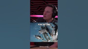Elon Musk On Colonizing Mars | Joe Rogan #shorts