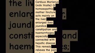 Carduus Marianus (milk thistle) Q, homoeopathic mothertincture acts mainly  live