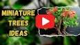 The Art of Bonsai: Cultivating Miniature Trees for Beauty and Tranquility ile ilgili video