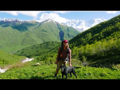 Медведи Сванетия