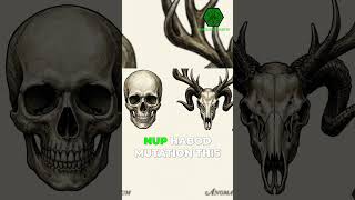 The Goph Nup Habod Mutation. #callofcthulhu #tabletoprpg #cthulhumythos #hplovecraft #shubniggurath