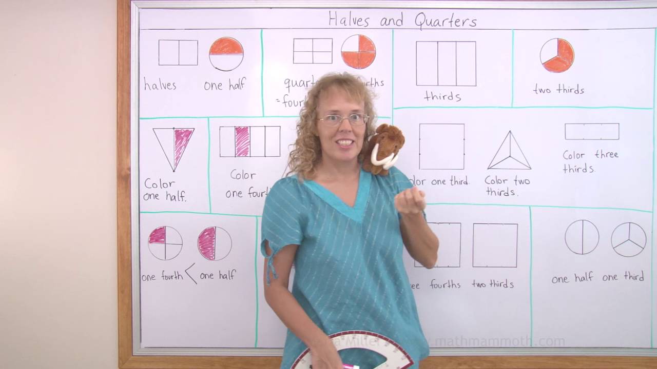 Measuring Cup Fractions: Visual Equivalents (Quarters, Thirds, Halves &  Wholes)