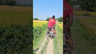 The Man Stood At The Partys Murano.