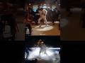 Michael Jackson has always been a great inspiration for Lady Gaga