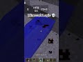 Minecraft Logic 💀💀💀
