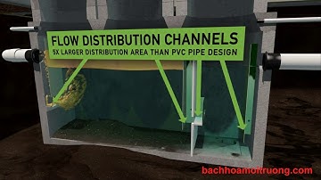 Video bể tách mỡ mô phỏng 3D đầy sáng tạo