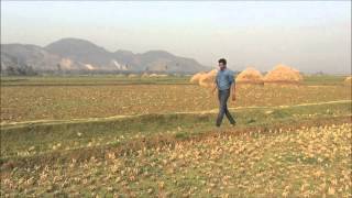 Production No :1- Title Unknown