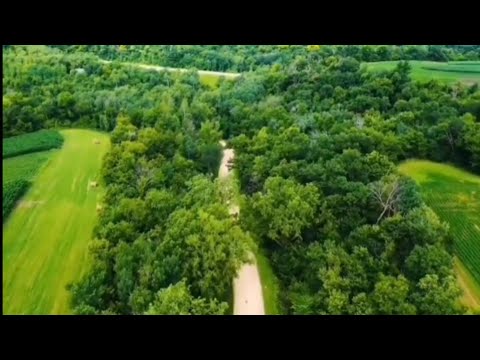 الرضا من نور من ابتهال الشيخ نصر الدين طوبار حين يهدي الصبح نوره