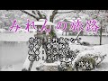 【新曲】「みれんの旅路」 五代ショウ 歌唱:修吾(原曲)