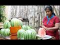 Watermelon Recipes ❤ She is making Watermelon Pie from Fresh Watermelon Juice at her Village Home