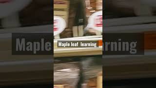 Mapleleaf learning #meme ￼