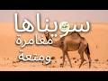مغامرة عائلية في الصحراء سويناها   