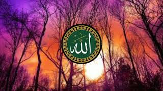   Abu Ali Nasheed  Archived