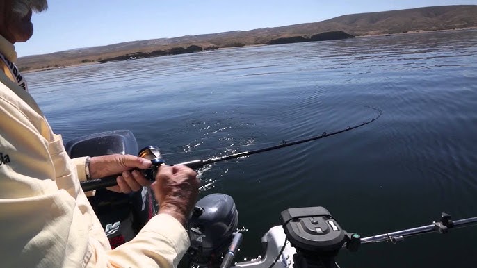 Spring Kokanee Fishing at Flaming Gorge 