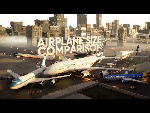 AIRPLANE Size Comparison | 3D