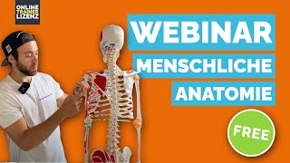 Die menschliche Anatomie - KOSTENFREIES WEBINAR - Lerninhalt Fitness B-Lizenz / 2022 screenshot 5