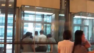 20140717 헬로우 모바일 행사 승기 도착