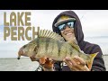 Lake Perch With Softlures | Westin Fishing