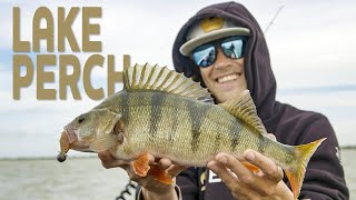 Lake Perch With Softlures | Westin Fishing