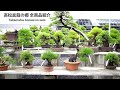 [全商品紹介] 高松盆栽の郷フェスタ 2022