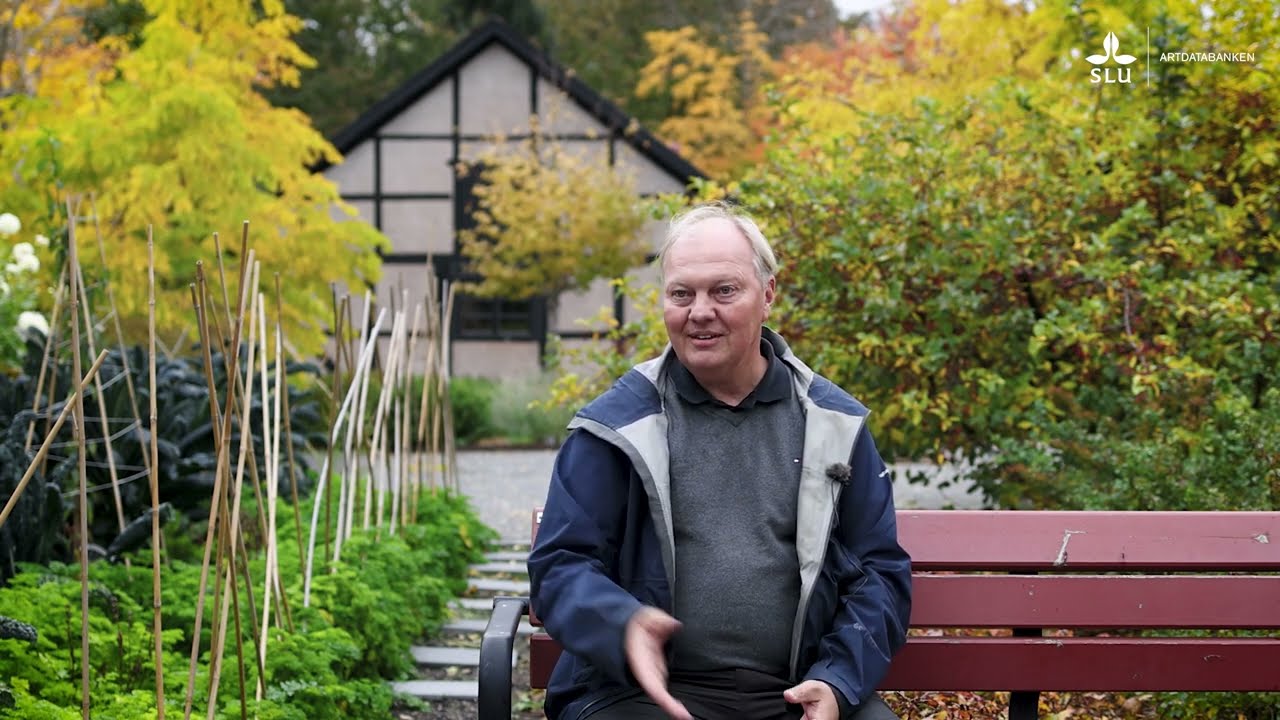 Hur använder en naturvårdsbiolog Artportalen?