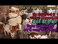 सस्ते से सस्ता फार्म Adarsh Goat Farm Nalanda Bihar