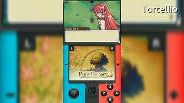 DraStic 2.5.1.3a PATCHED Nintendo Switch Skin Layout
