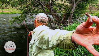 Fly Fishing Deschutes River Salmon Flies by Todd Moen