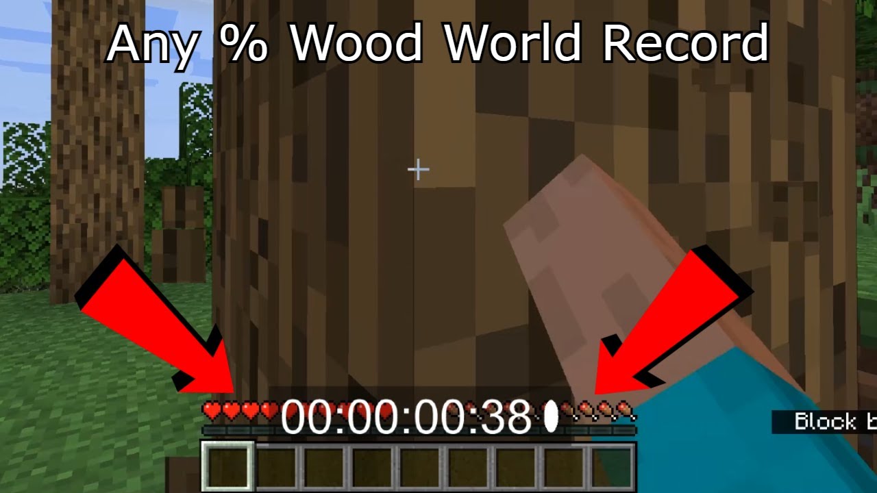 Minecraft Any % Wood World Record Speedrun !!(Random seed glitchless ...