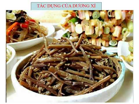 BÀI GIẢNG SINH 6 TUẦN 24 (từ ngày 20/4/2020 đến 25/4/2020)