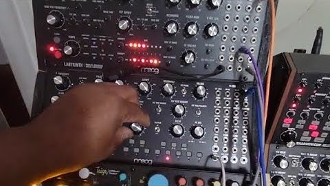 Moog Labyrinth x DFAM x Matriarch | Analog Dance Beat Creation on MPC Live