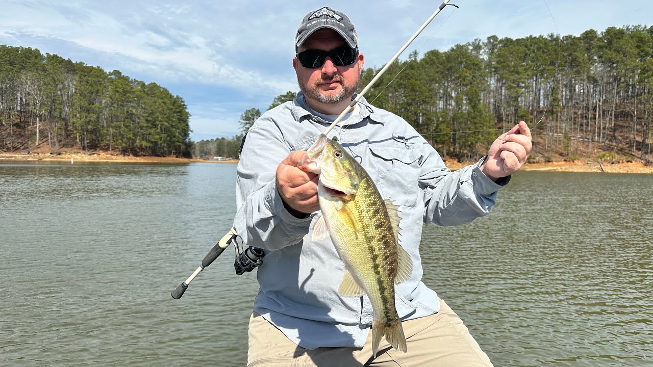 Fishing for Bass on Lake Allatoona (Fishing Ned Rigs)