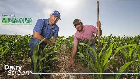 Dairy Stream: Dairy partnership utilizes subsurface manure drip irrigation