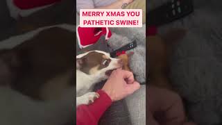 Mr Bubz - Christmas Vibes