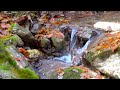 Gentle Mountain Stream. Sounds of Nature 3 Hours of Video in 4K For Relaxation and Sleep.