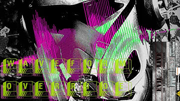 "Waveform Override"  a studio live sampling session by Palindrome