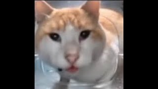 0129 2