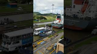Panama Shopping Experience 10