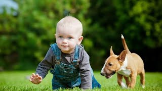 #cute baby video | #cutecat video | #funny baby video | Best video of the kids screenshot 4