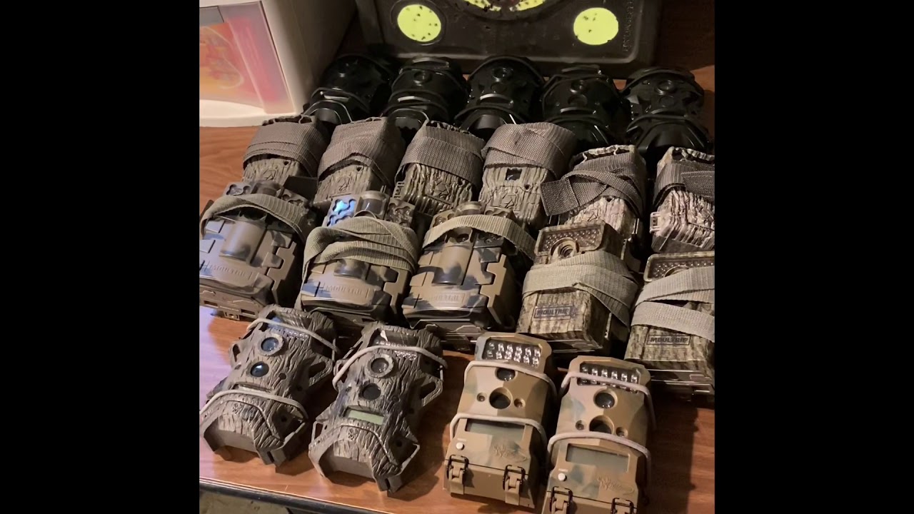 Trail Camera Review - Wildgame, Moultrie & Stealth