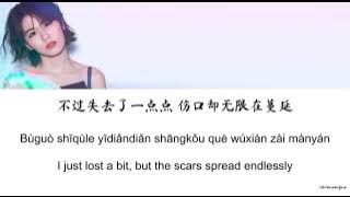 曾沛慈 (Pets Tseng) - 不过失去了一点点 (Just Lost It) Lyrics (CHN/PIN/ENG)