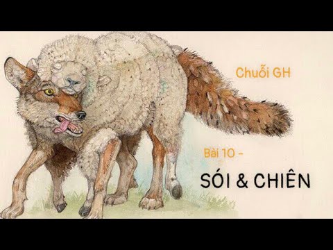 🌑 SÓI 🐺 & 🍀CHIÊN 🐑 |  Chuỗi Giáo hội - Bài 1️⃣0️⃣