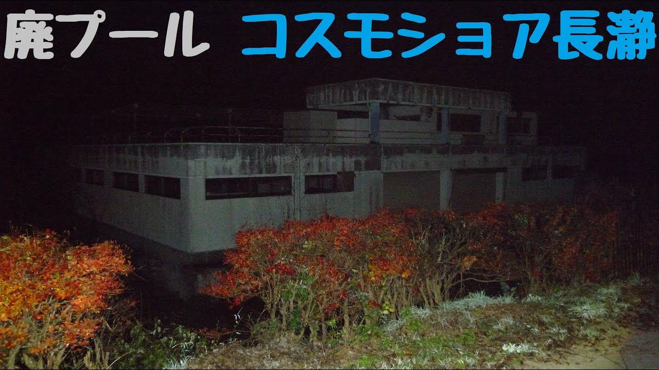 廃流水プール施設 -コスモショア長瀞-
