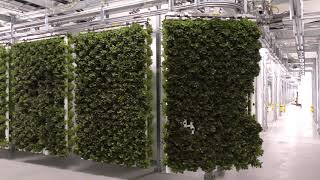 Ocs 500 Hängeförderer Vertical Farming