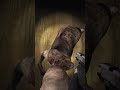 Scared the p*ss outta me #friends #gaming #horror #horrorgaming #horrorgaming #cryoffear #coop